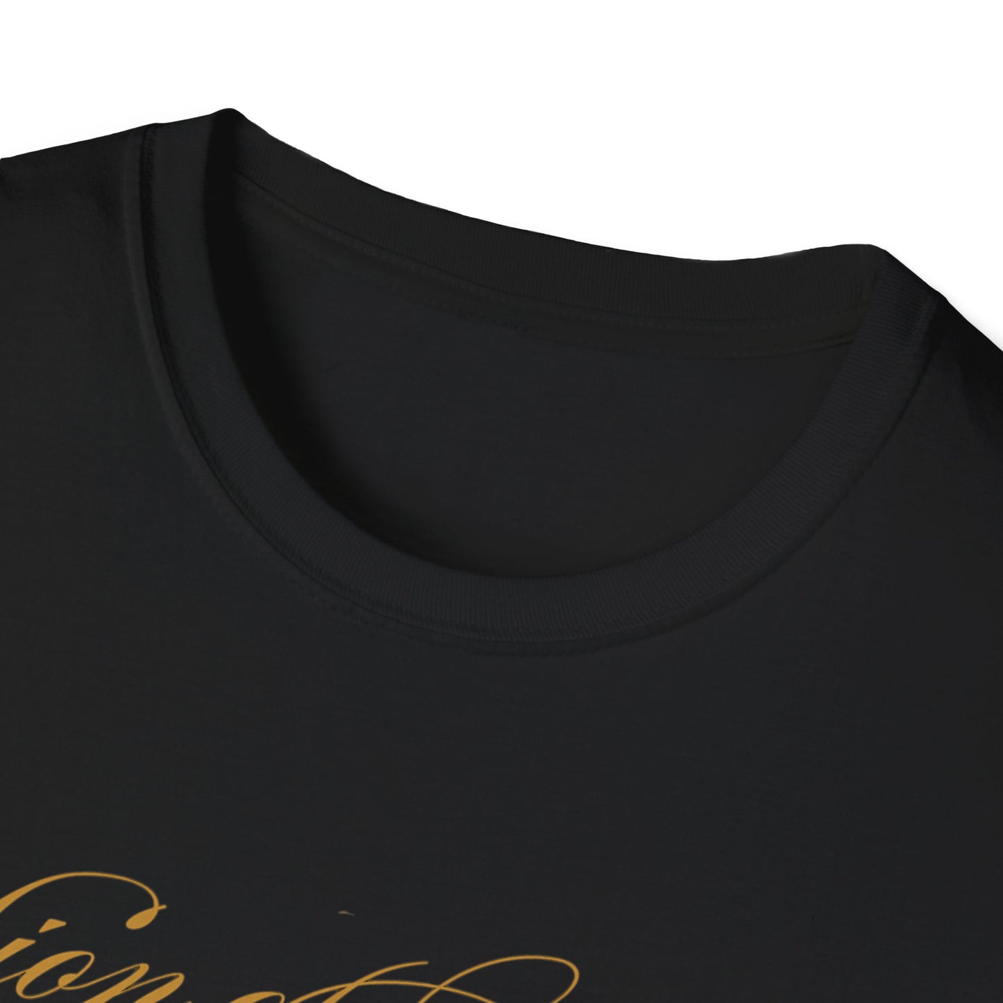 Lion of Judah Unisex Softstyle T-Shirt, Bible, Church, Inspirational, Commitment,